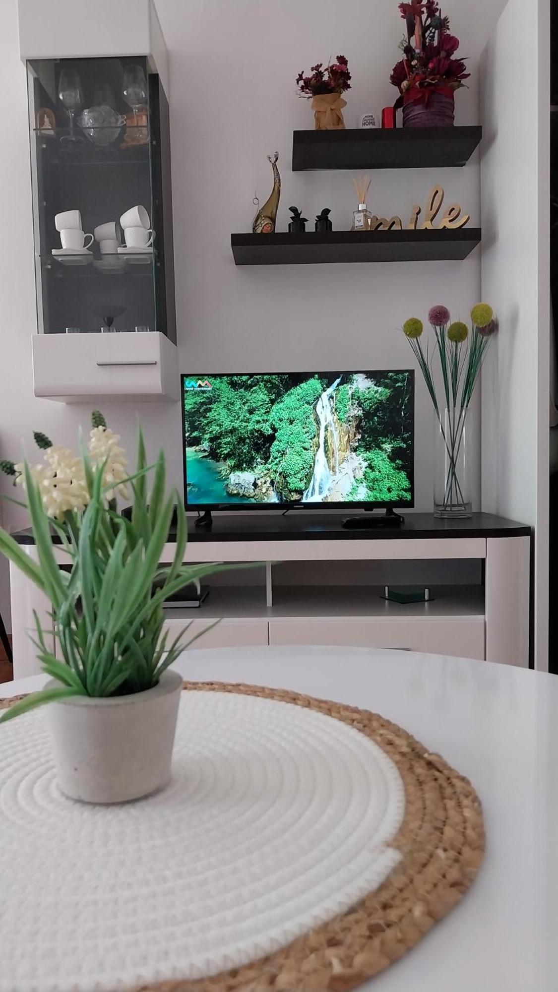 Apartment Milica *