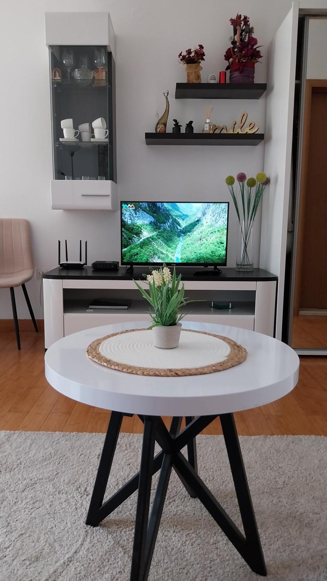Apartment Milica